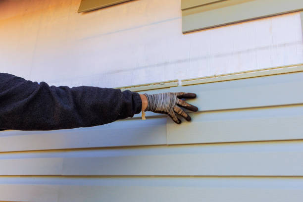 Best Siding for New Construction  in Salem, AR